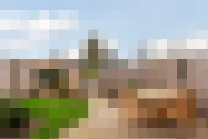 Raaigrasstraat 62 Rijswijk thumbnail 5