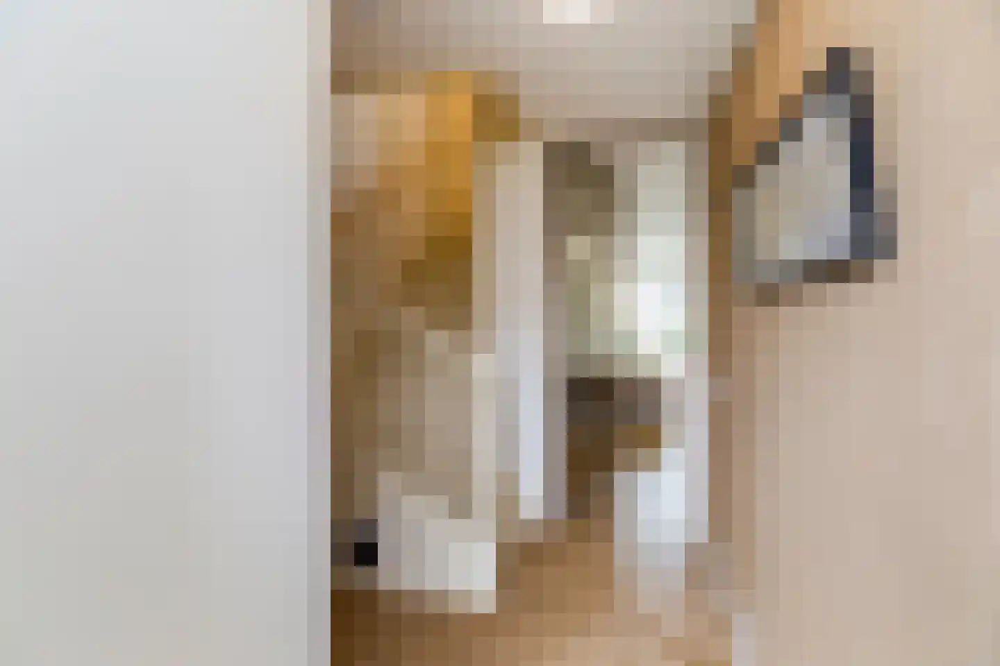 Raaigrasstraat 62 Rijswijk thumbnail 6