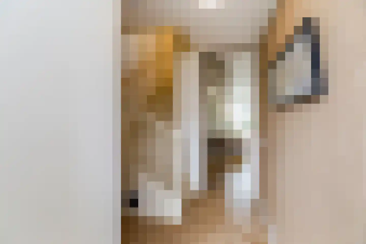 Raaigrasstraat 62 Rijswijk thumbnail 6