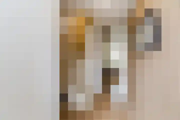 Raaigrasstraat 62 Rijswijk thumbnail 6