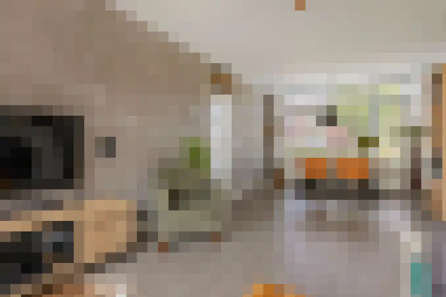 Raaihof 38 Arnhem thumbnail 11