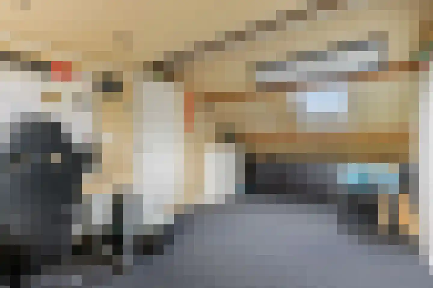 Raaihof 38 Arnhem thumbnail 27