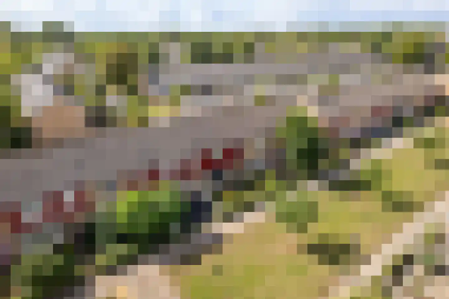 Raaihof 38 Arnhem thumbnail 36