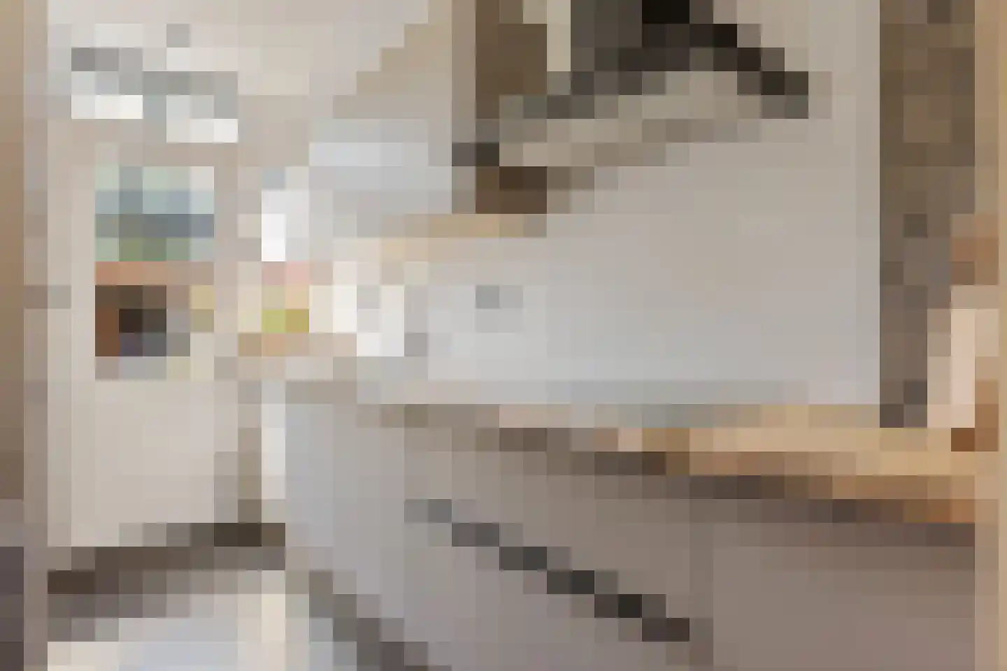 Raaihof 38 Arnhem thumbnail 4