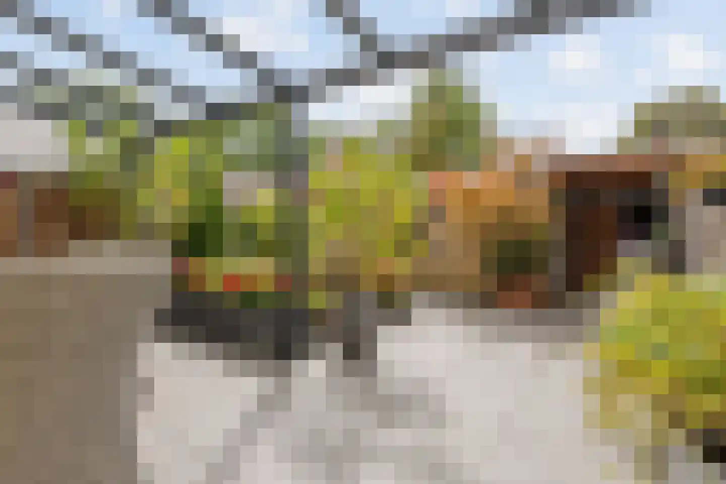 Raaihof 38 Arnhem thumbnail 5
