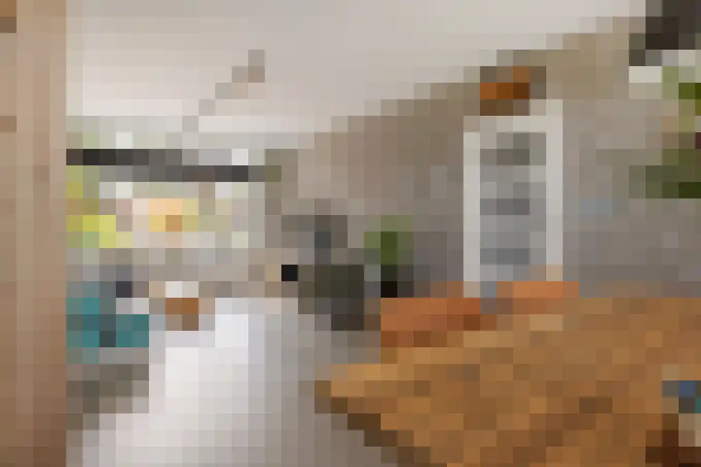 Raaihof 38 Arnhem thumbnail 9