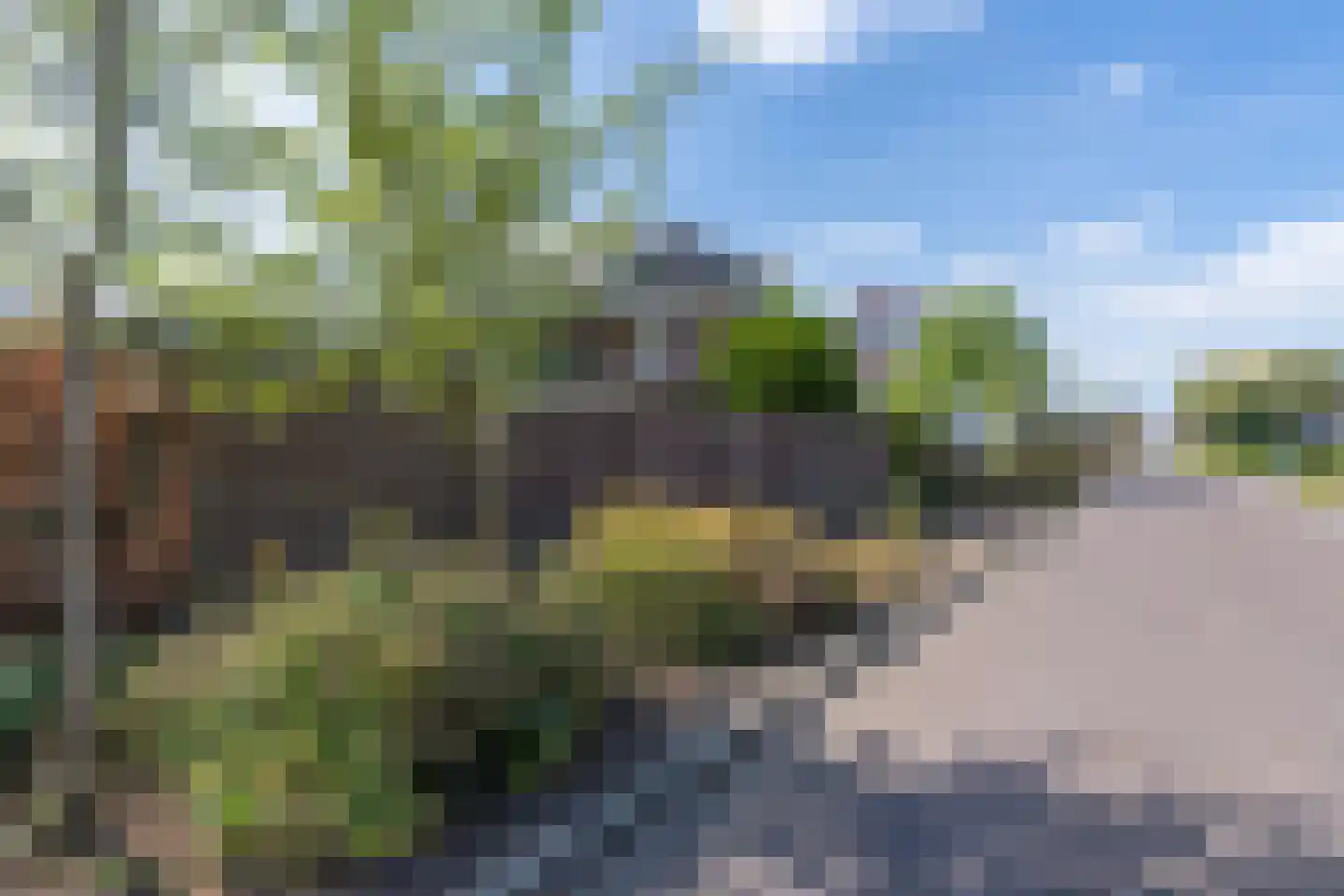 Raaijweg 1 Overloon thumbnail 14