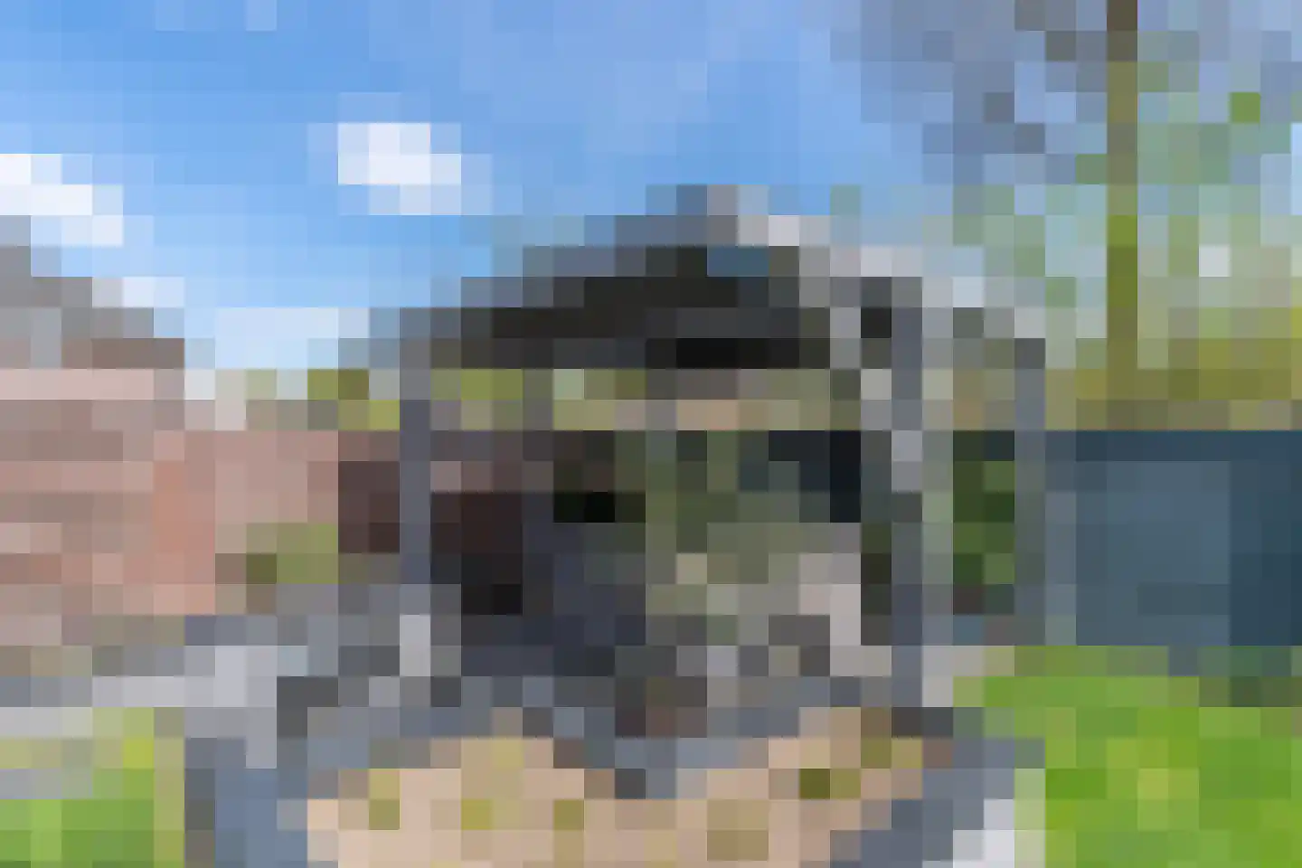 Raaijweg 1 Overloon thumbnail 21
