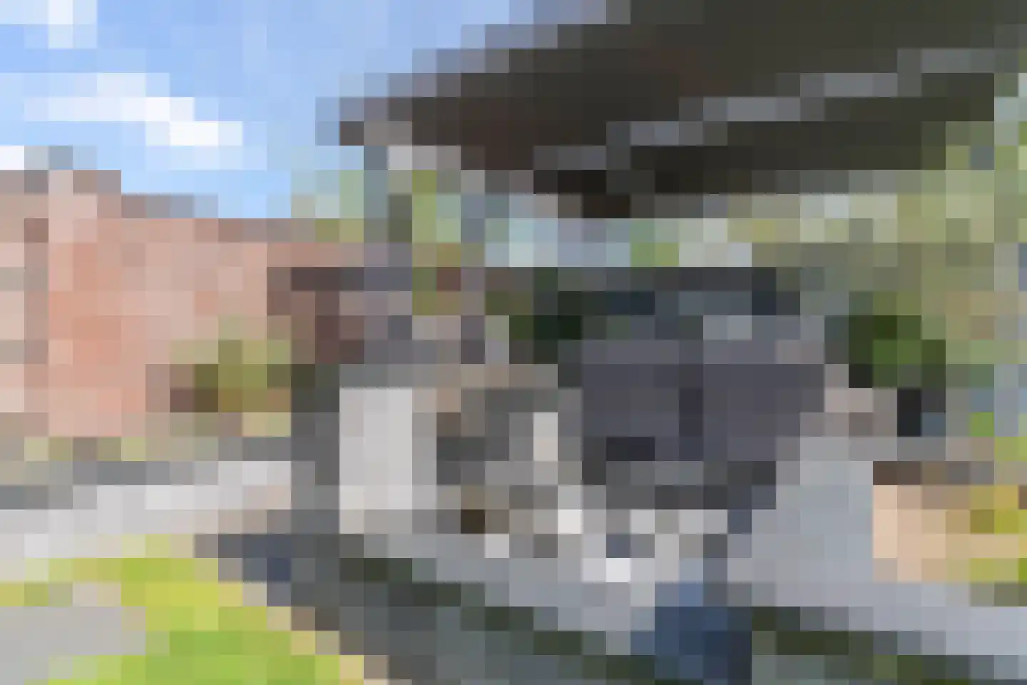 Raaijweg 1 Overloon thumbnail 26
