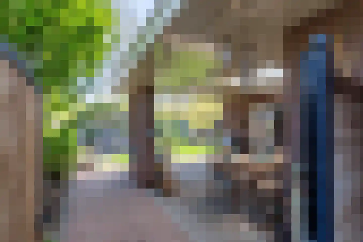 Raaijweg 1 Overloon thumbnail 27