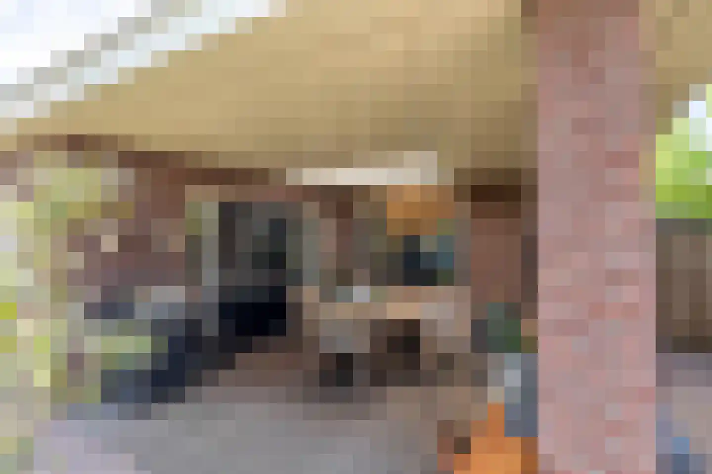 Raaijweg 1 Overloon thumbnail 28
