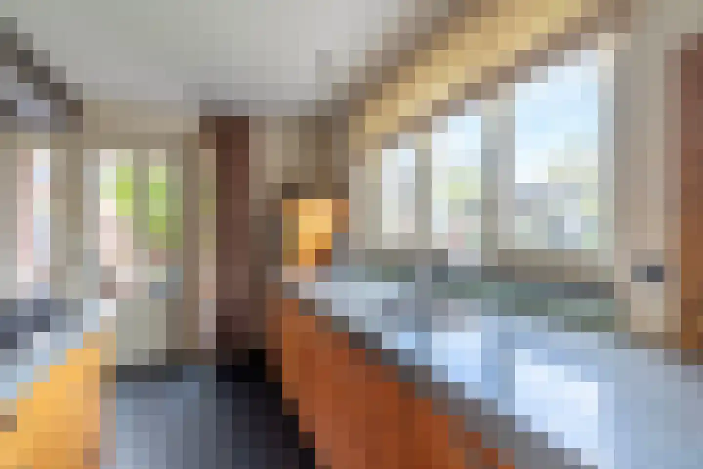 Raaijweg 1 Overloon thumbnail 36