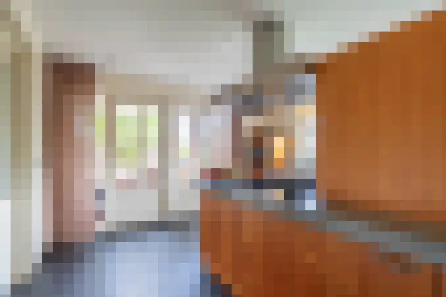 Raaijweg 1 Overloon thumbnail 37