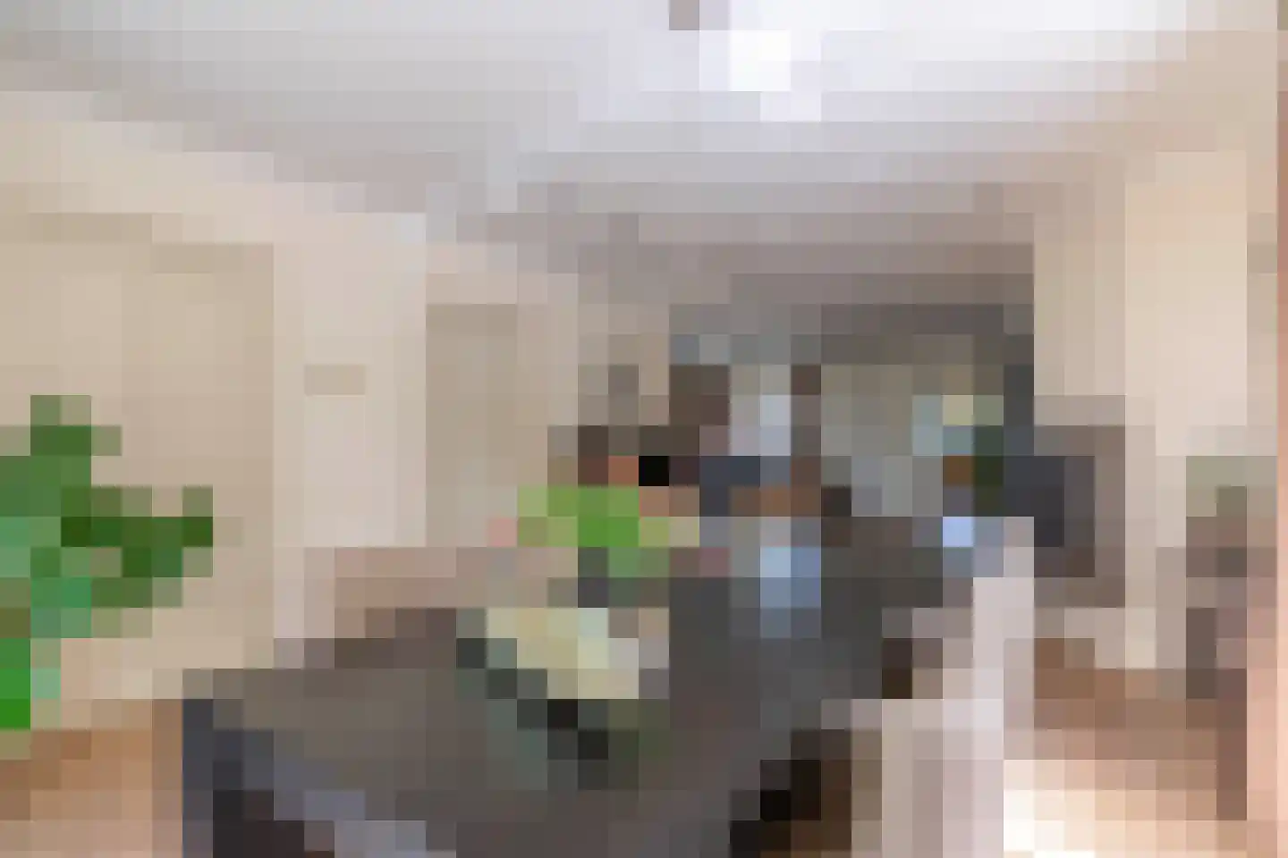 Raaijweg 1 Overloon thumbnail 47