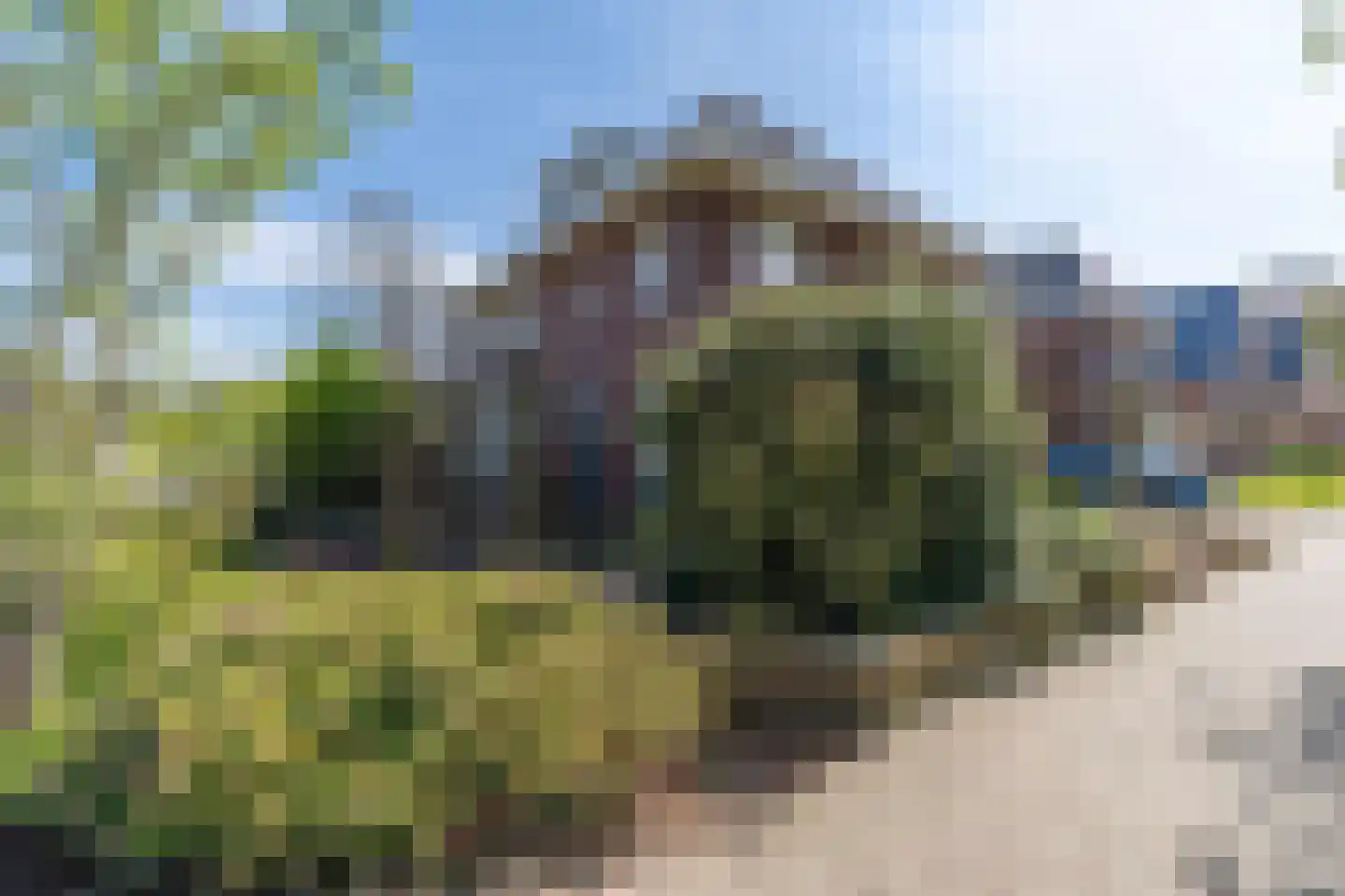 Raaijweg 1 Overloon thumbnail 5