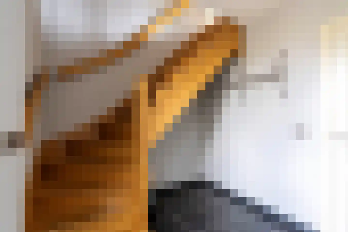 Raaijweg 1 Overloon thumbnail 58