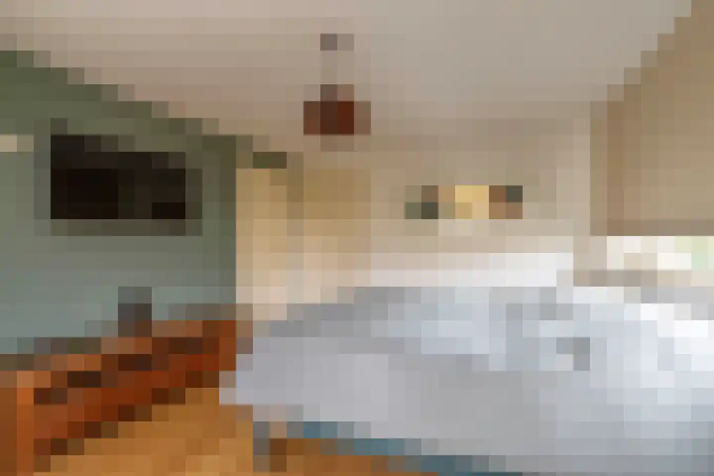 Raaijweg 1 Overloon thumbnail 60
