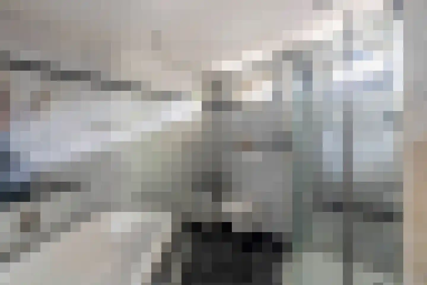 Raaijweg 1 Overloon thumbnail 72