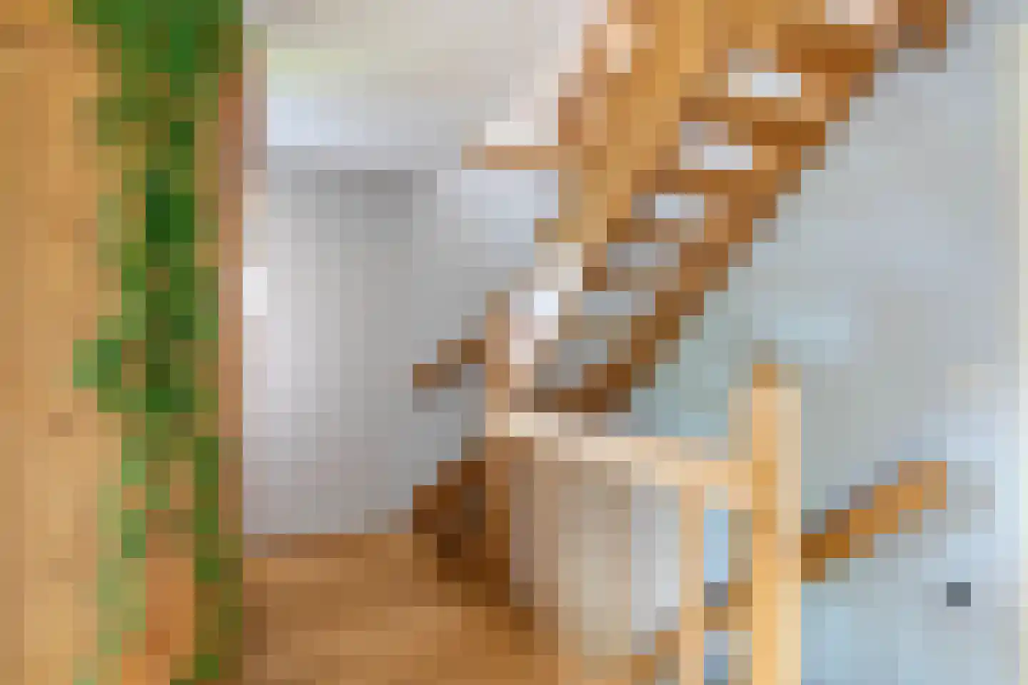 Raaijweg 1 Overloon thumbnail 74