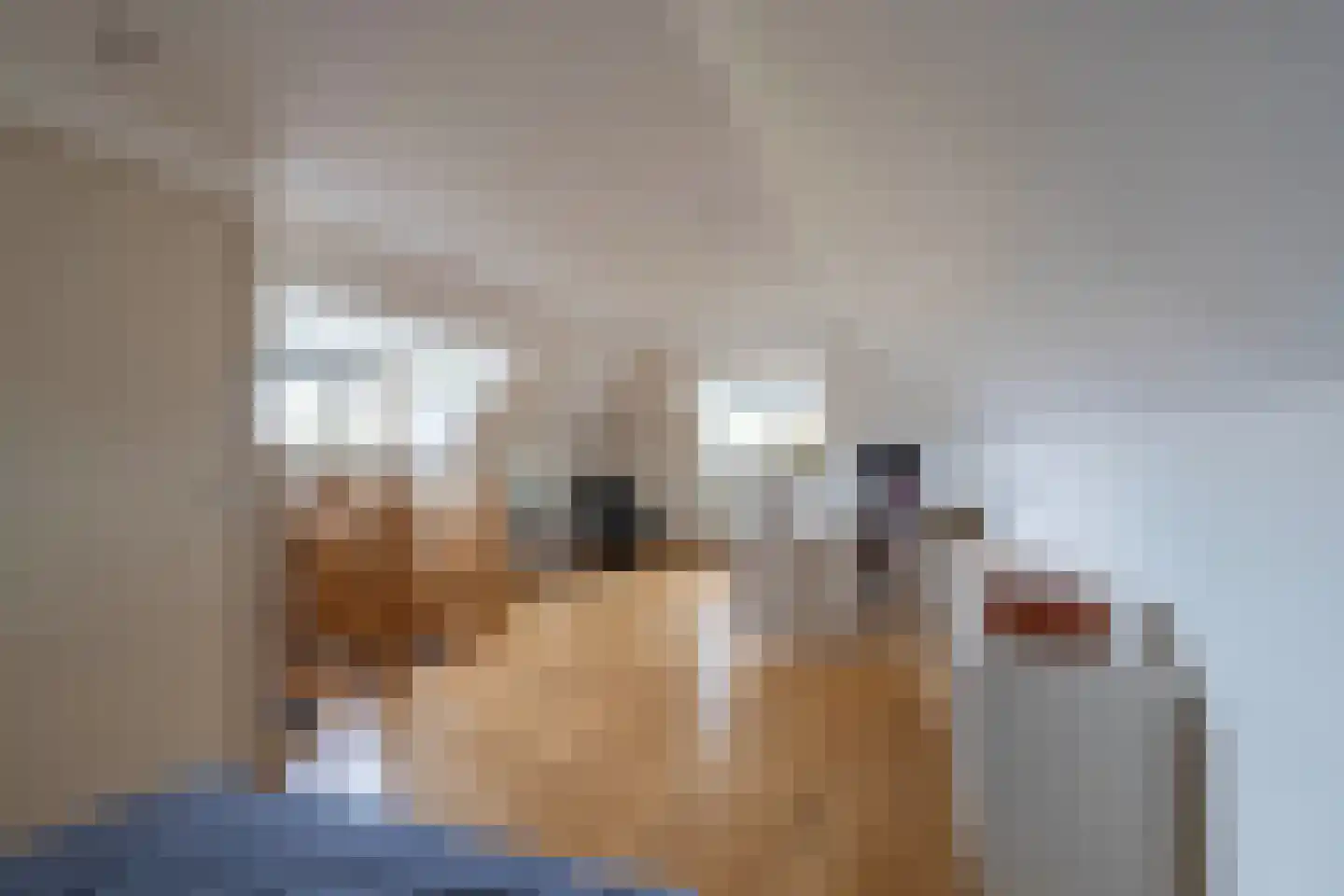Raaijweg 1 Overloon thumbnail 77