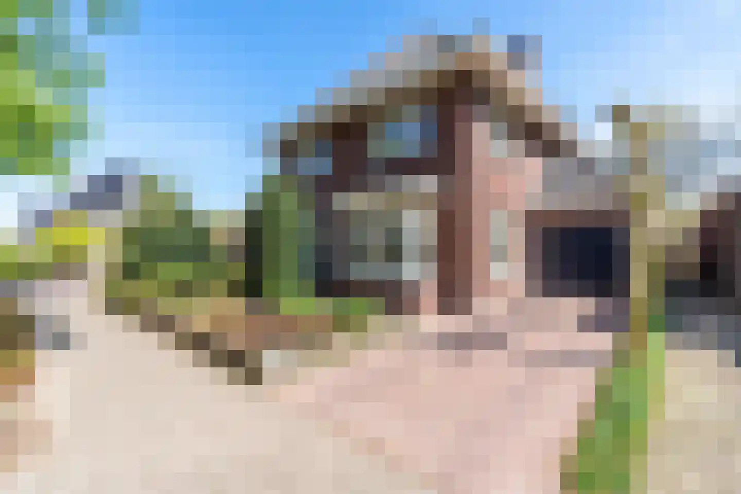 Raaijweg 1 Overloon thumbnail 8