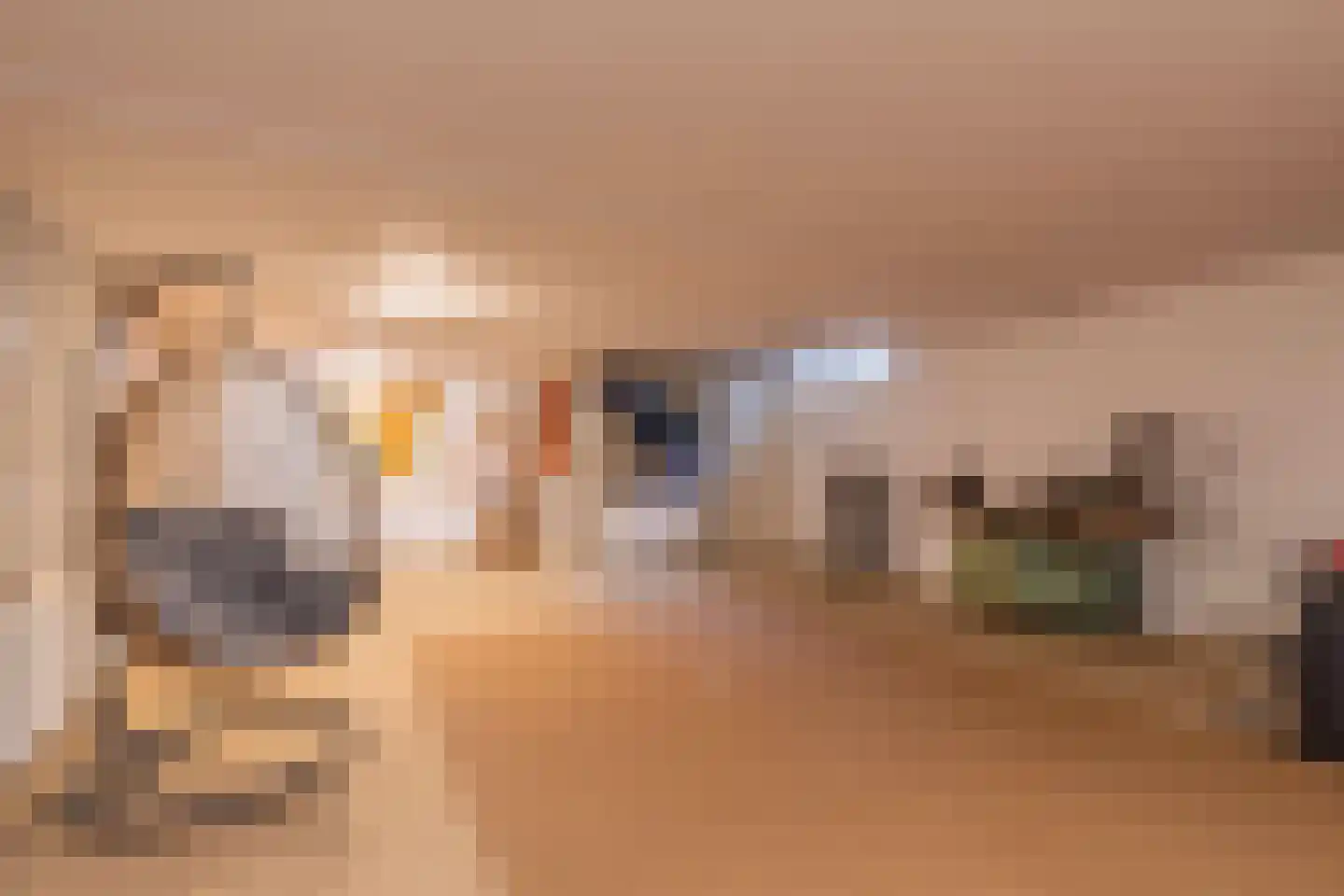 Raaijweg 1 Overloon thumbnail 81
