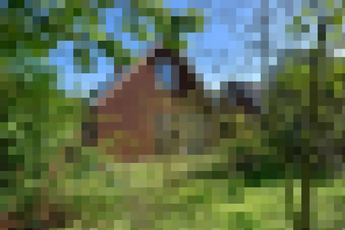 Raaijweg 25 162 Overloon thumbnail 28