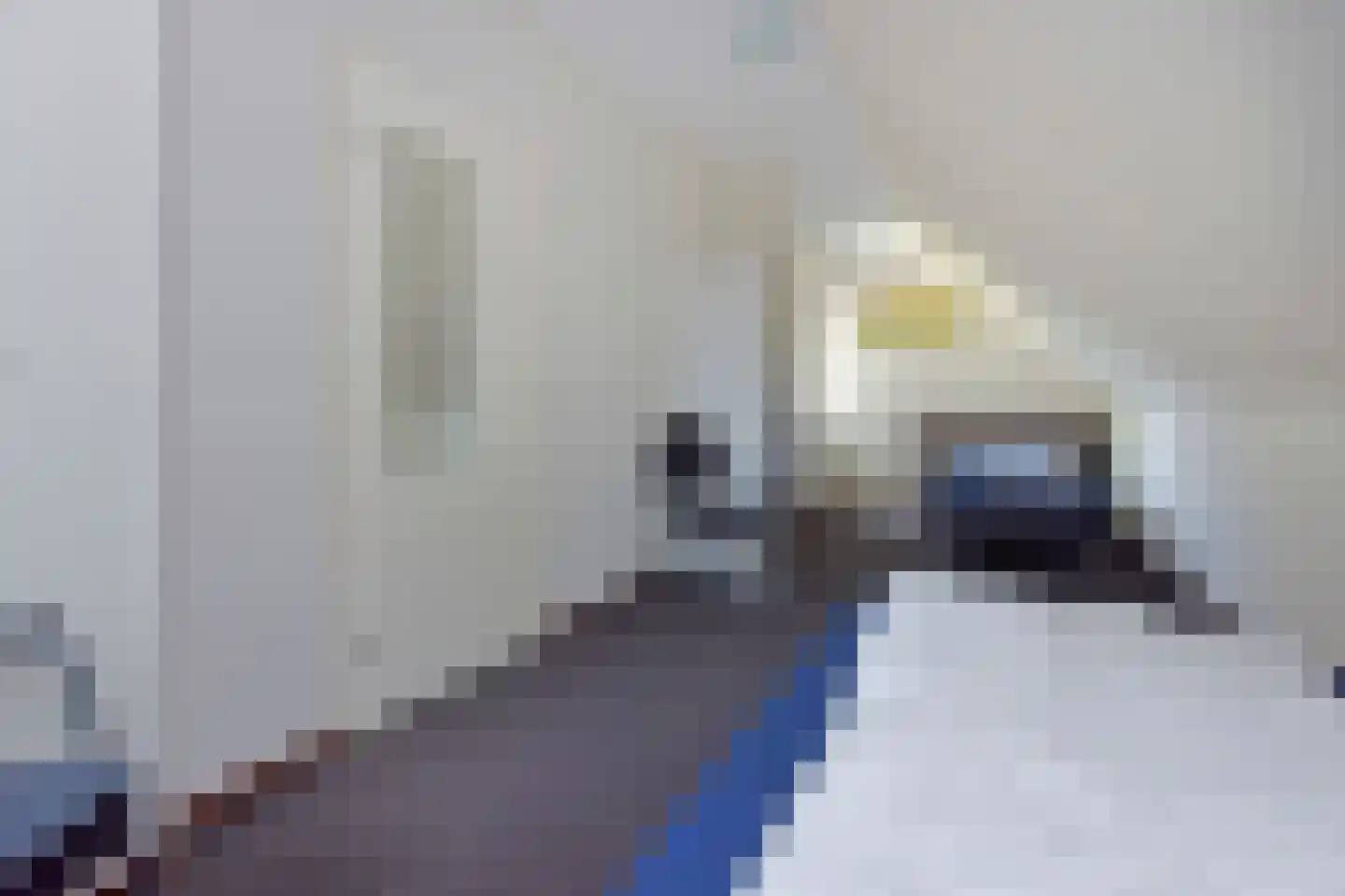 Raaijweg 25 231 Overloon thumbnail 23