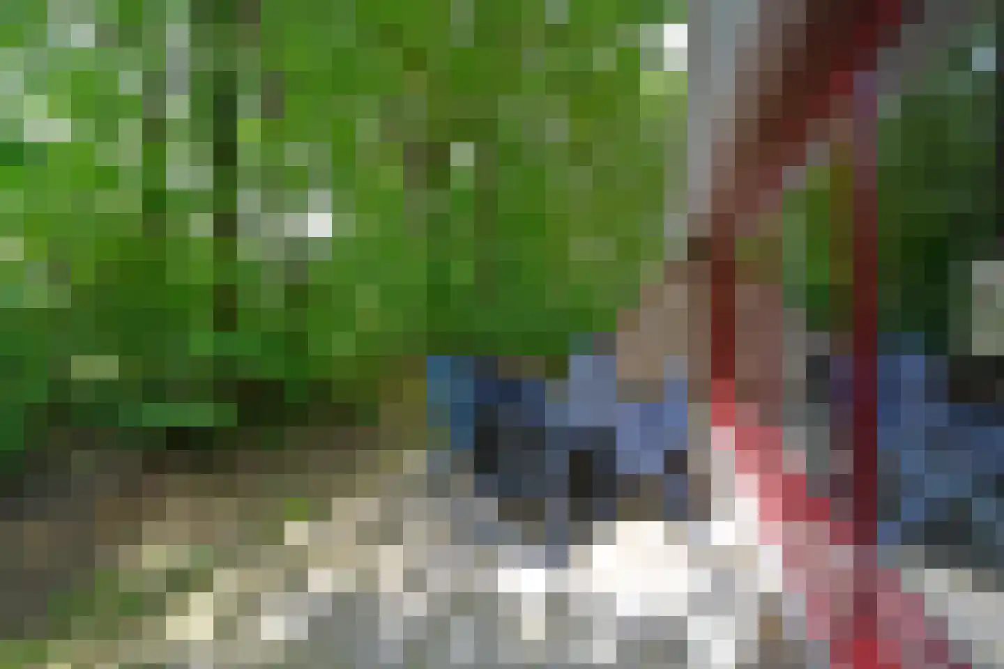 Raaijweg 25 231 Overloon thumbnail 25
