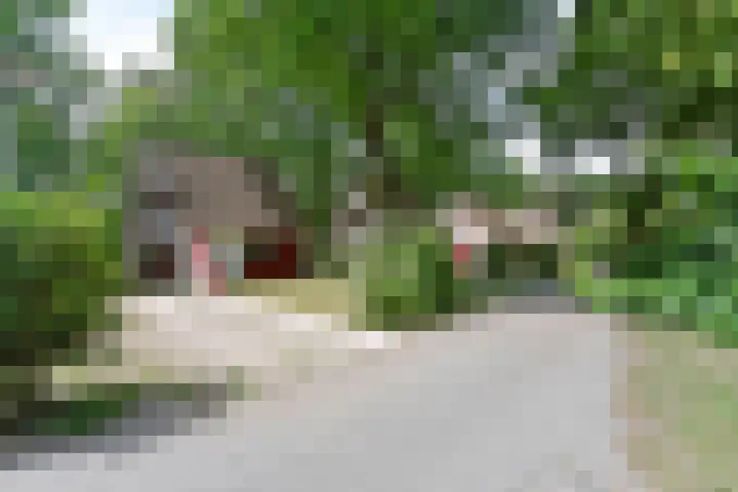 Raaijweg 25 231 Overloon thumbnail 27