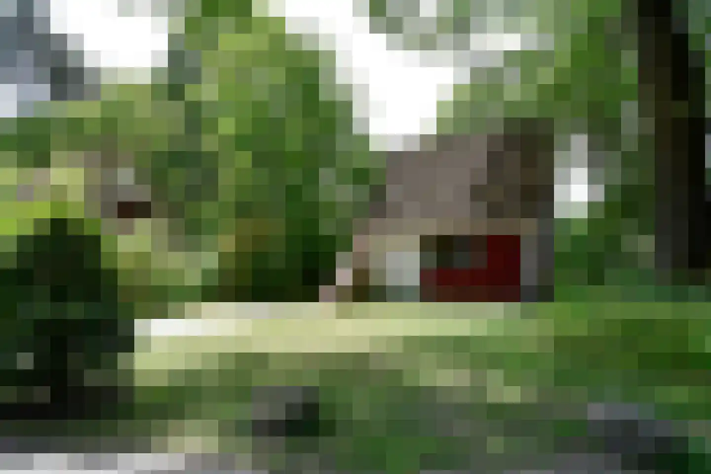 Raaijweg 25 231 Overloon thumbnail 29