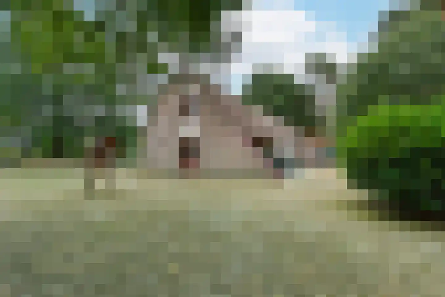 Raaijweg 25 253 Overloon thumbnail 24