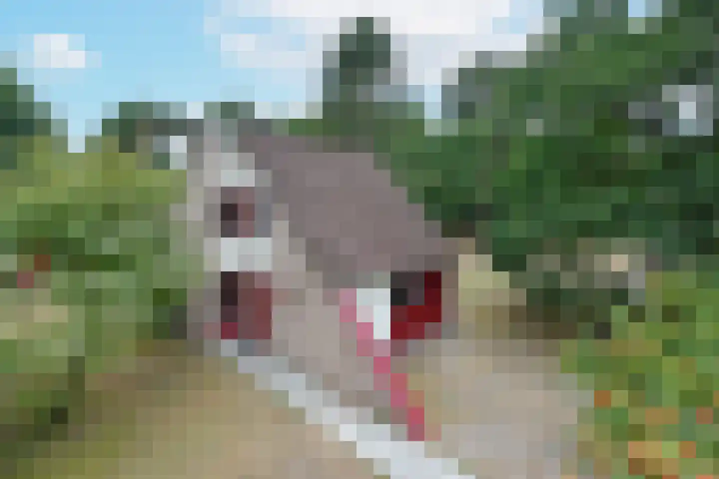 Raaijweg 25 253 Overloon thumbnail 25