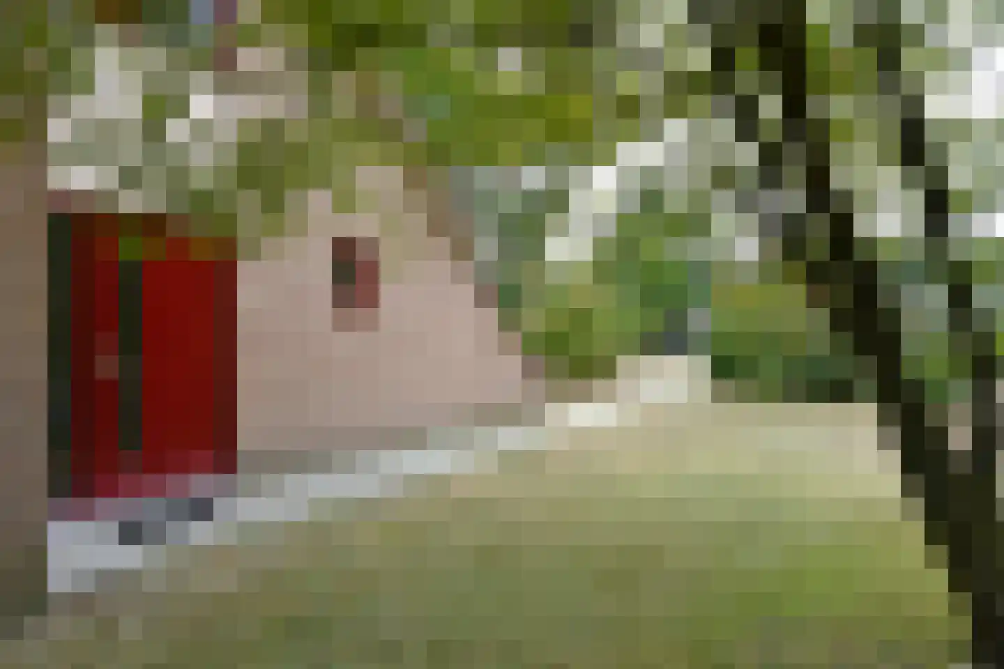Raaijweg 25 253 Overloon thumbnail 27