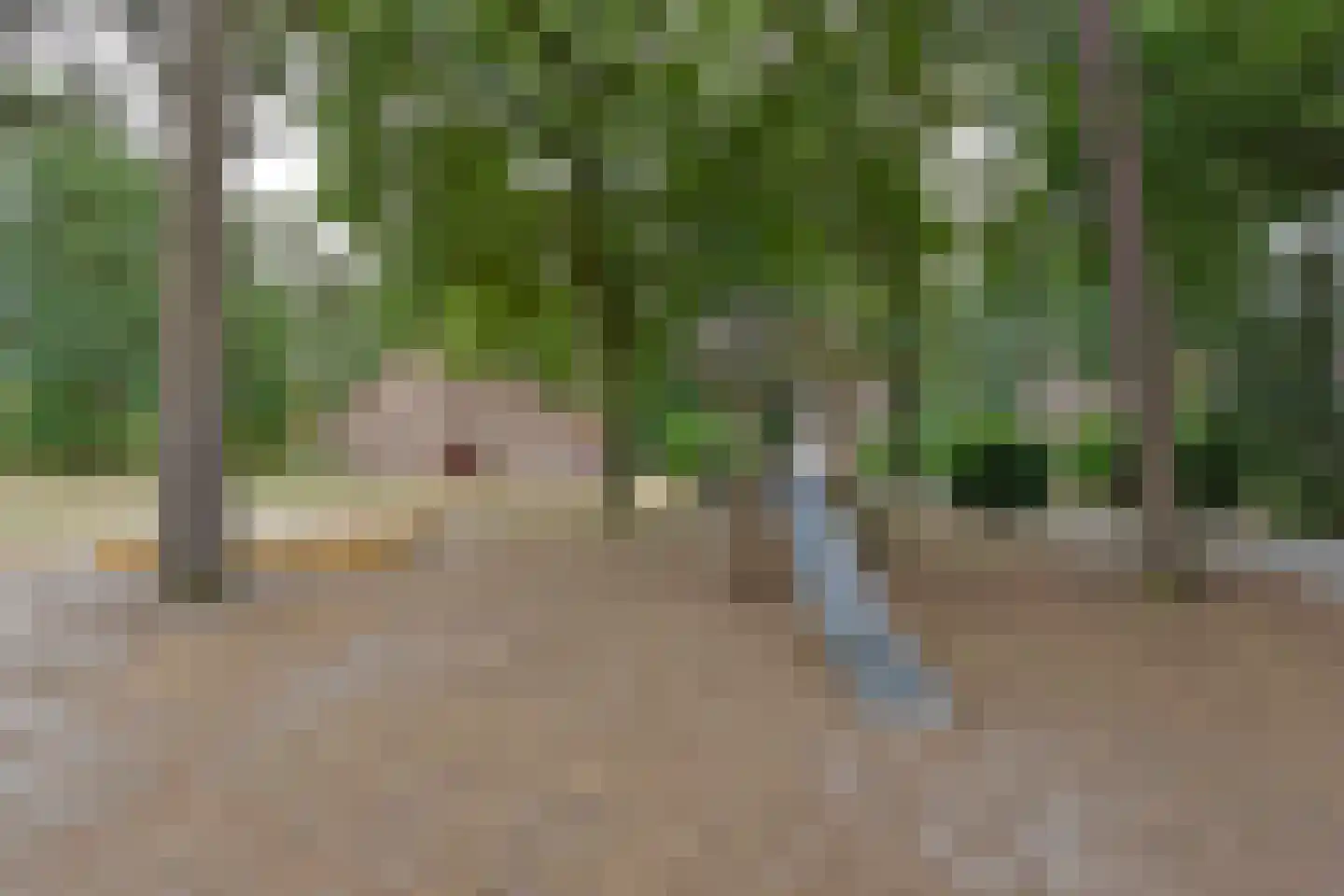 Raaijweg 25 253 Overloon thumbnail 29