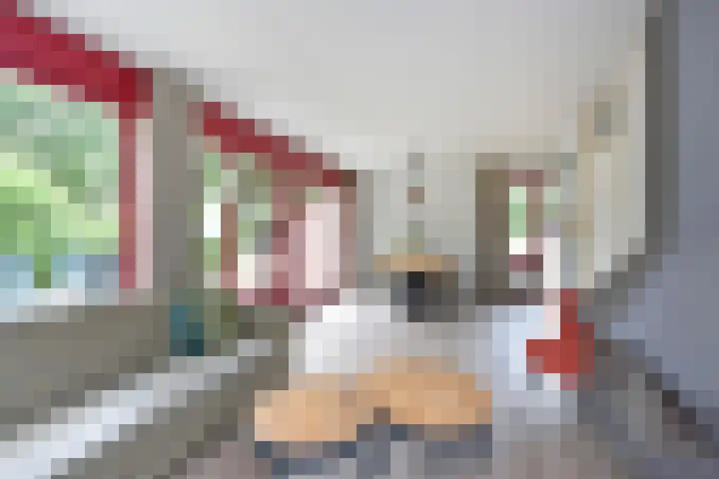 Raaijweg 25 253 Overloon thumbnail 5