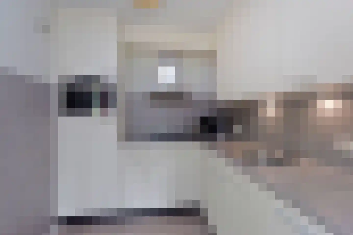Raaijweg 25 253 Overloon thumbnail 9