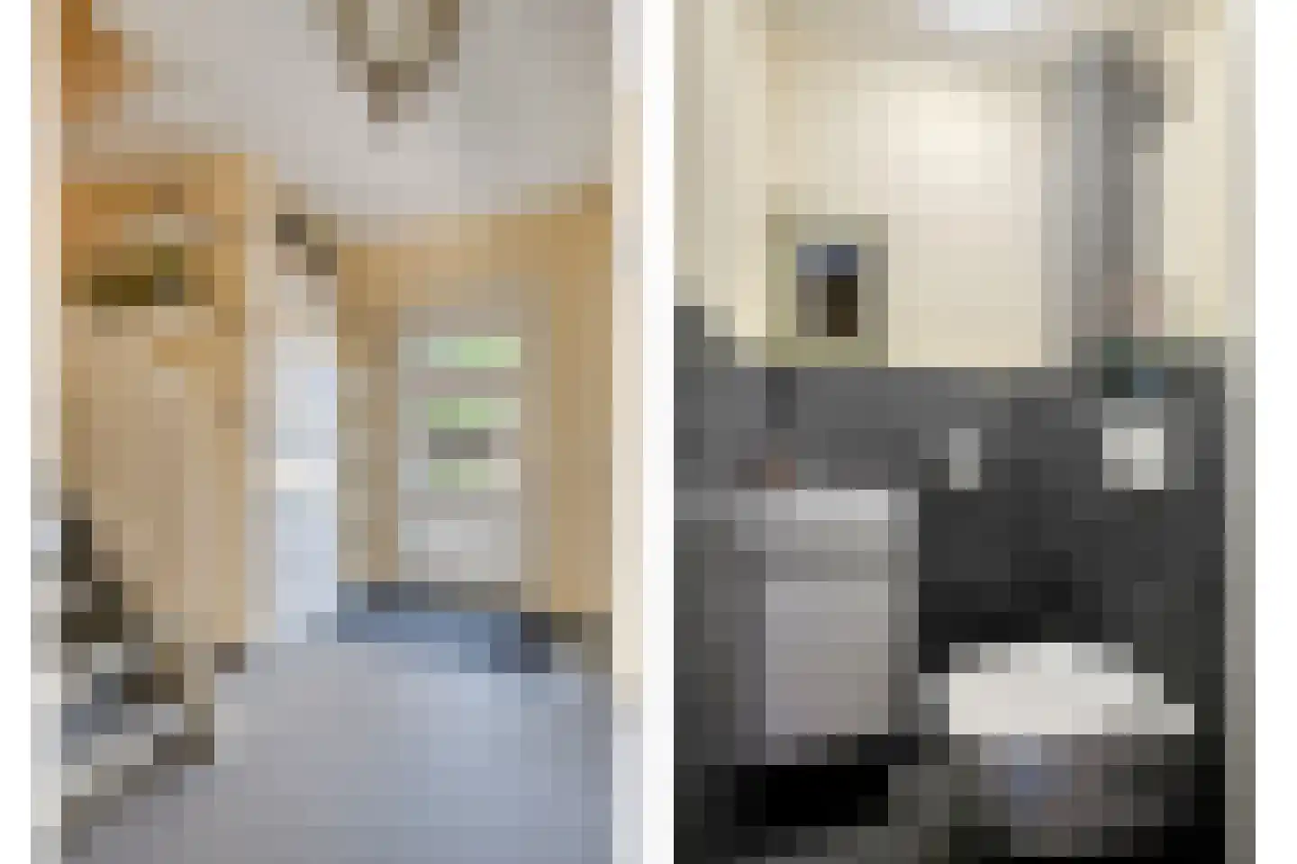 Raaimoeren 32 Breda thumbnail 10