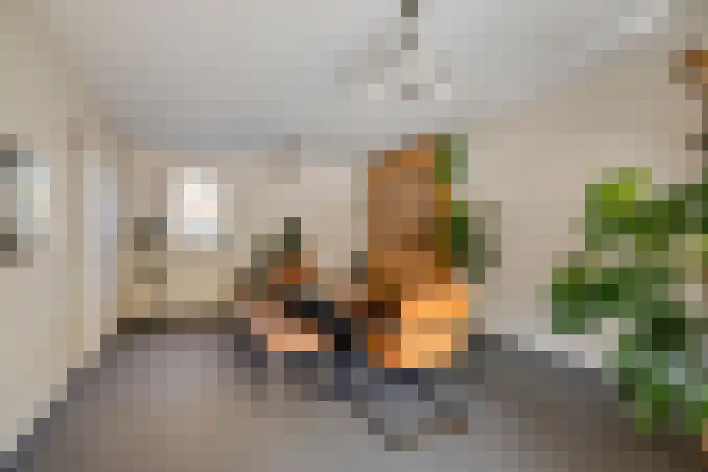Raaimoeren 32 Breda thumbnail 20