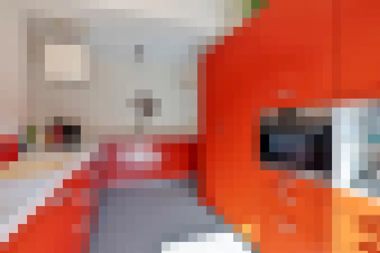 Raaimoeren 32 Breda thumbnail 24