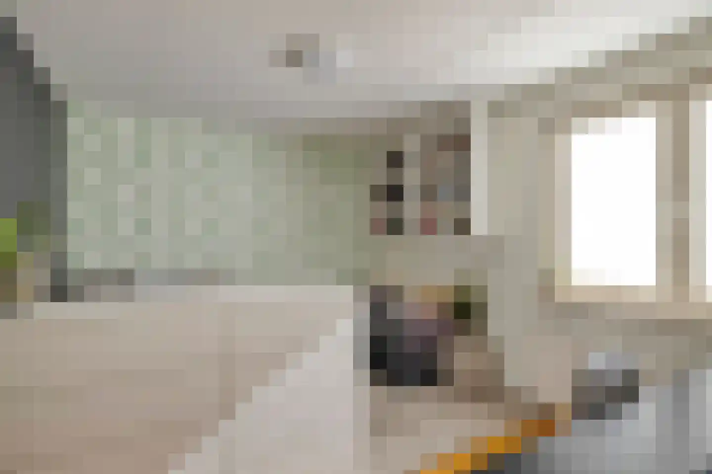 Raaimoeren 32 Breda thumbnail 30