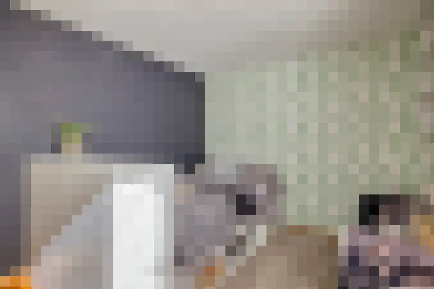 Raaimoeren 32 Breda thumbnail 31