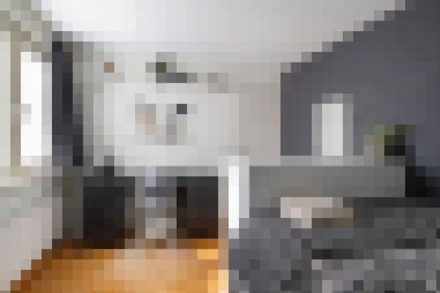 Raaimoeren 32 Breda thumbnail 32