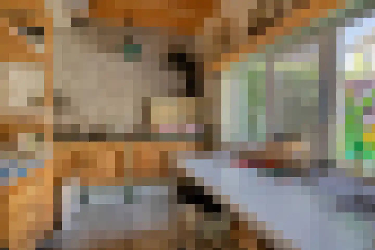 Raaimoeren 32 Breda thumbnail 51