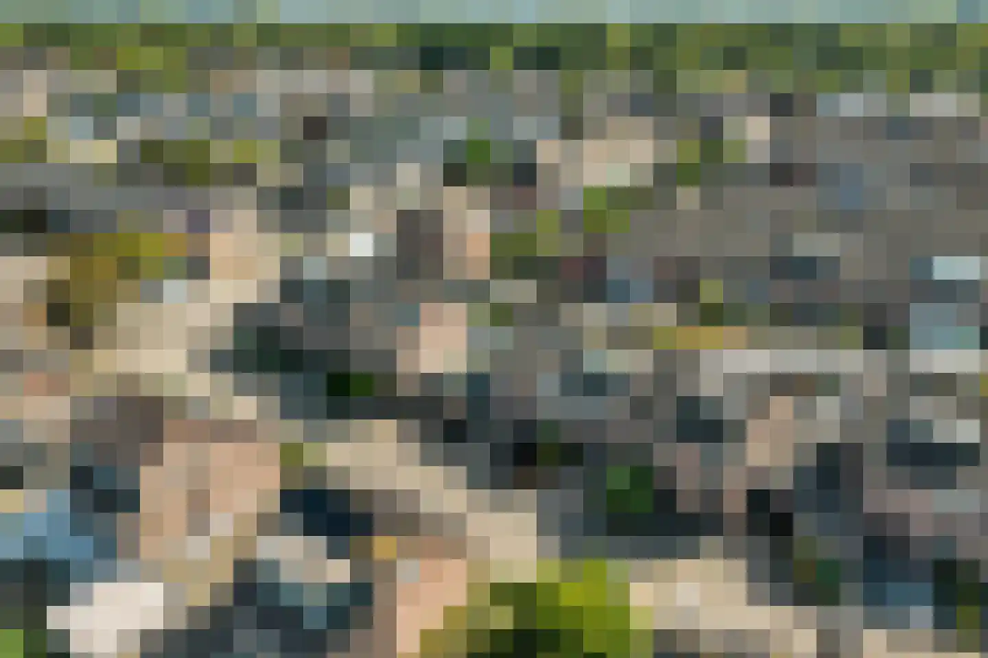 Raaimoeren 32 Breda thumbnail 55