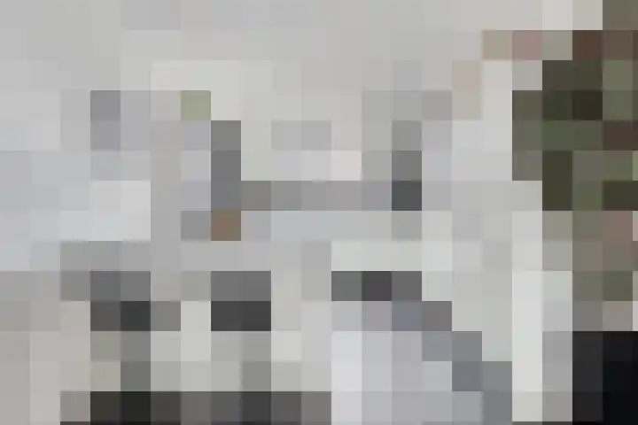 Raaimoeren 63 Breda thumbnail 14