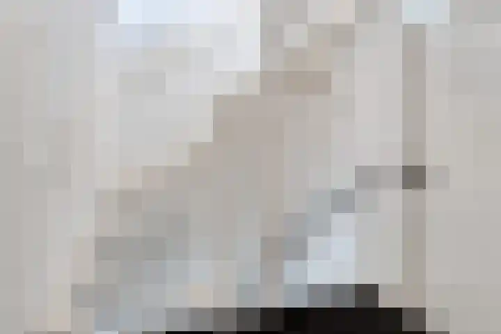 Raaimoeren 63 Breda thumbnail 18
