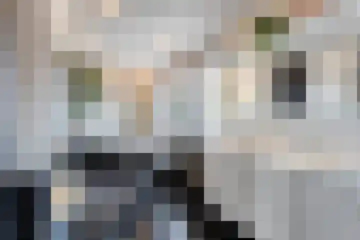 Raaimoeren 63 Breda thumbnail 22