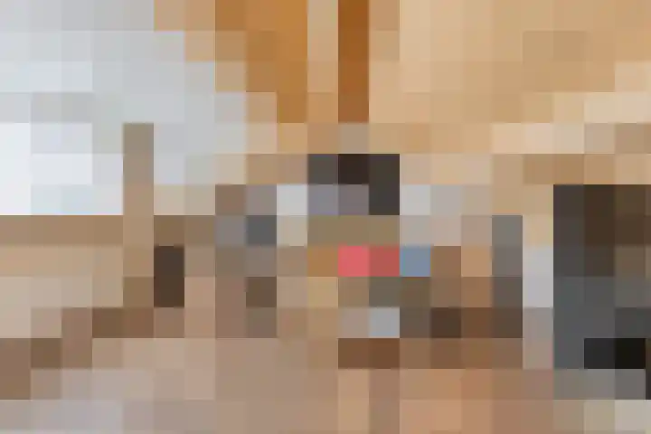 Raaimoeren 63 Breda thumbnail 27