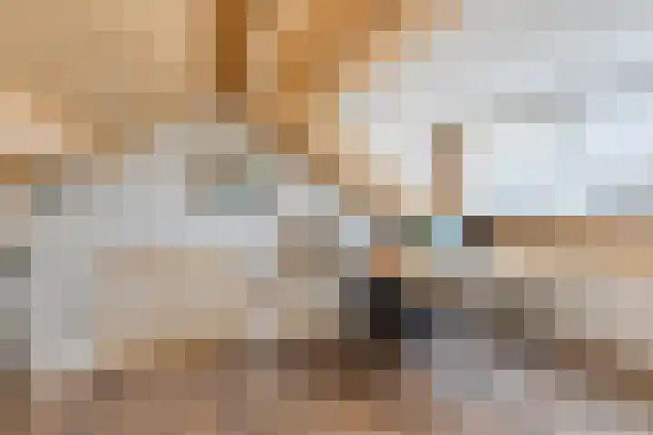 Raaimoeren 63 Breda thumbnail 28